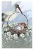 Saint Pierre Et Miquelon Portail Cheznoo Net